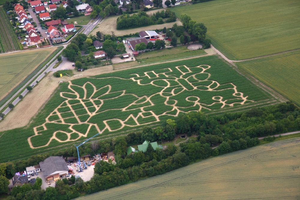 Dalheim from the bird's eye view: Maze - Labyrinth with the thema Corona Virus Covid 19 in a cornfield in Dalheim in the state Rhineland-Palatinate, Germany