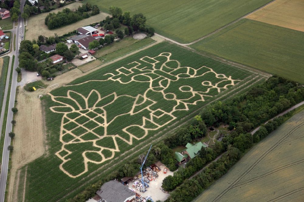 Aerial image Dalheim - Maze - Labyrinth with the thema Corona Virus Covid 19 in a cornfield in Dalheim in the state Rhineland-Palatinate, Germany
