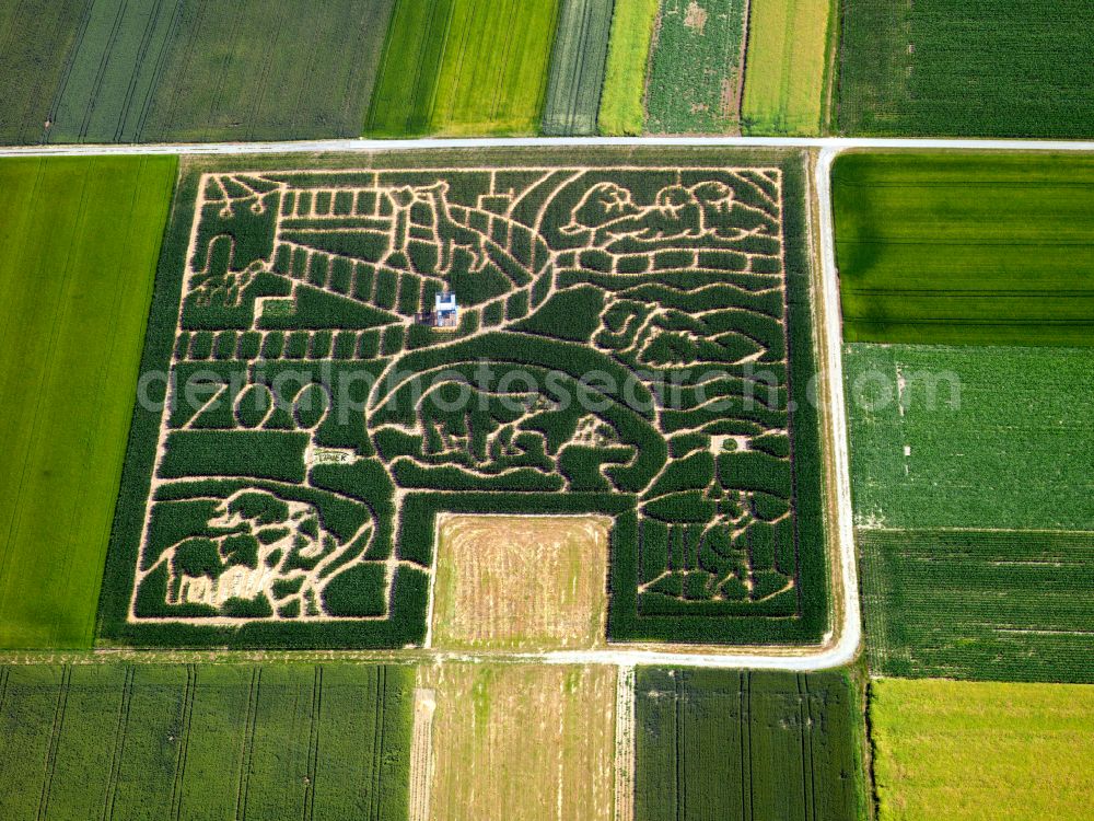 Bondorf from above - Maze - labyrinth on agricultural land in the district of Neustetten in the district of Wolfenhausen in the state Baden-Wuerttemberg, Germany