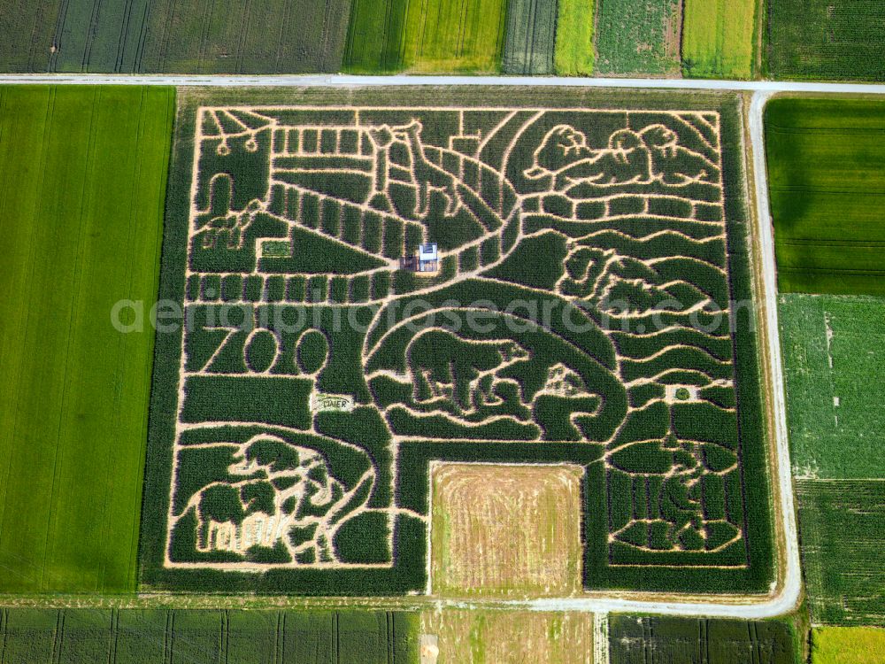 Bondorf from the bird's eye view: Maze - labyrinth on agricultural land in the district of Neustetten in the district of Wolfenhausen in the state Baden-Wuerttemberg, Germany