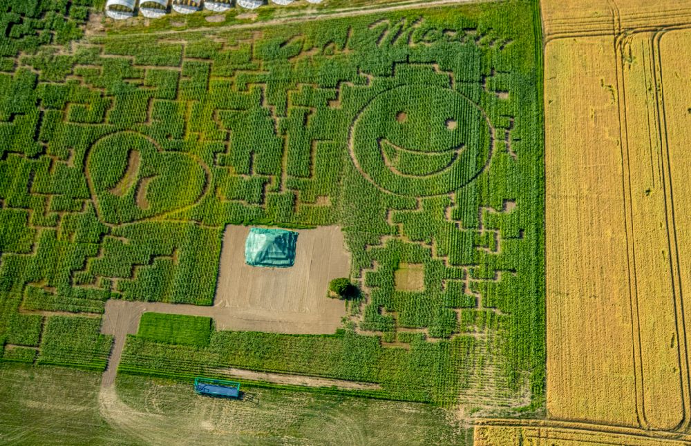 Grevel from the bird's eye view: Maze - Labyrinth on in Grevel at Ruhrgebiet in the state North Rhine-Westphalia, Germany