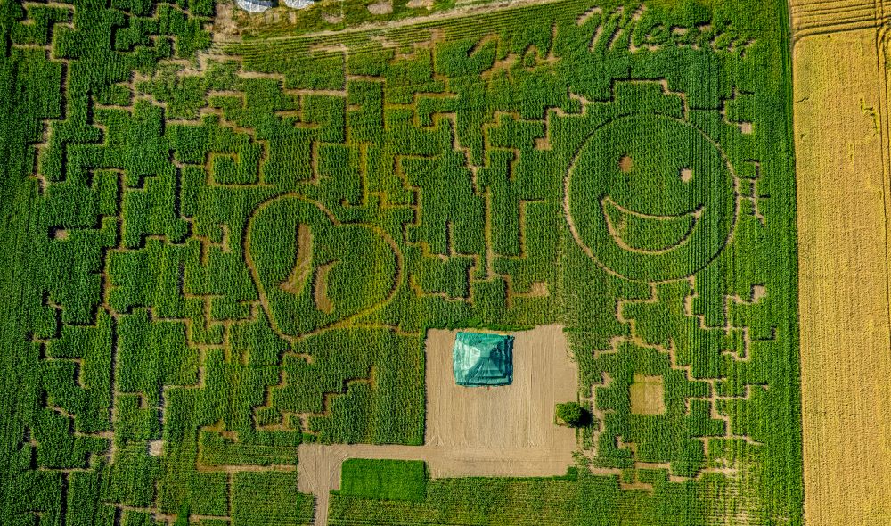Aerial image Grevel - Maze - Labyrinth on in Grevel at Ruhrgebiet in the state North Rhine-Westphalia, Germany