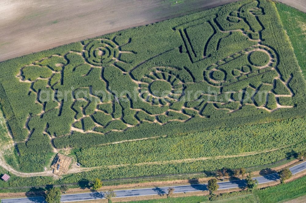 Lohme from the bird's eye view: Maze - Labyrinth on Das Gruene Labyrinth Ruegen on Blandow in Lohme in the state Mecklenburg - Western Pomerania, Germany