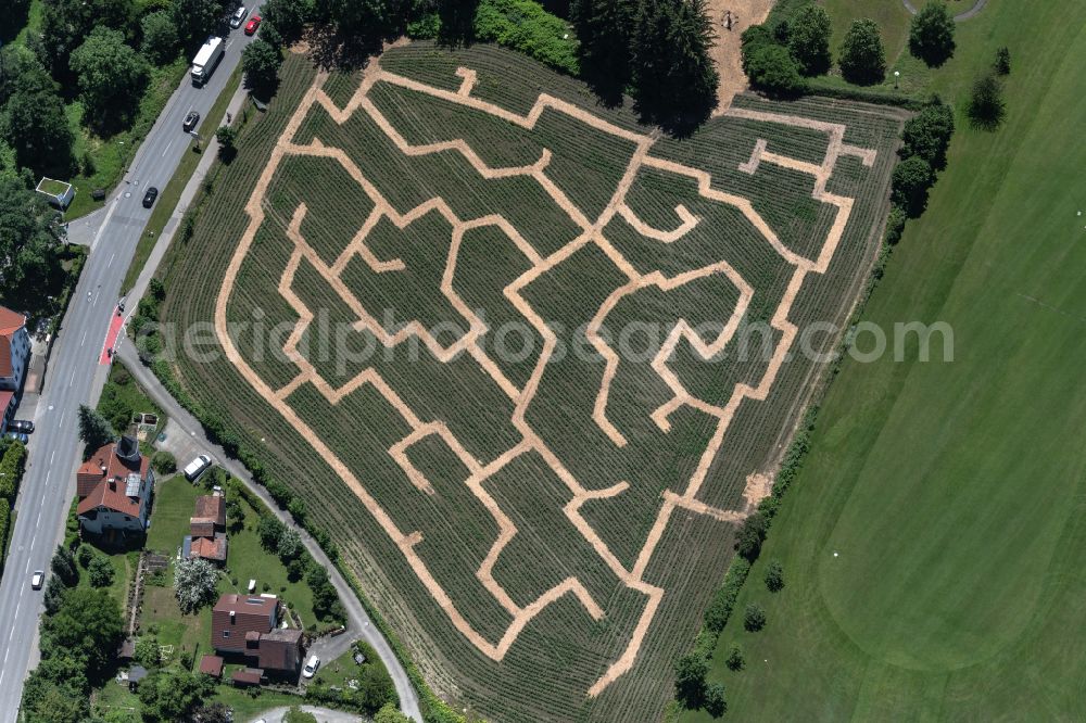 Lindau (Bodensee) from above - Maze - Labyrinth on of Lindauer Maislabyrinth in Lindau (Bodensee) at Bodensee in the state Bavaria, Germany