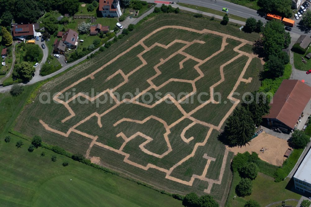 Aerial image Lindau (Bodensee) - Maze - Labyrinth on of Lindauer Maislabyrinth in Lindau (Bodensee) at Bodensee in the state Bavaria, Germany