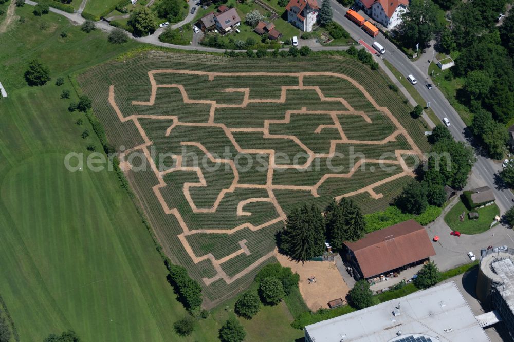 Lindau (Bodensee) from the bird's eye view: Maze - Labyrinth on of Lindauer Maislabyrinth in Lindau (Bodensee) at Bodensee in the state Bavaria, Germany