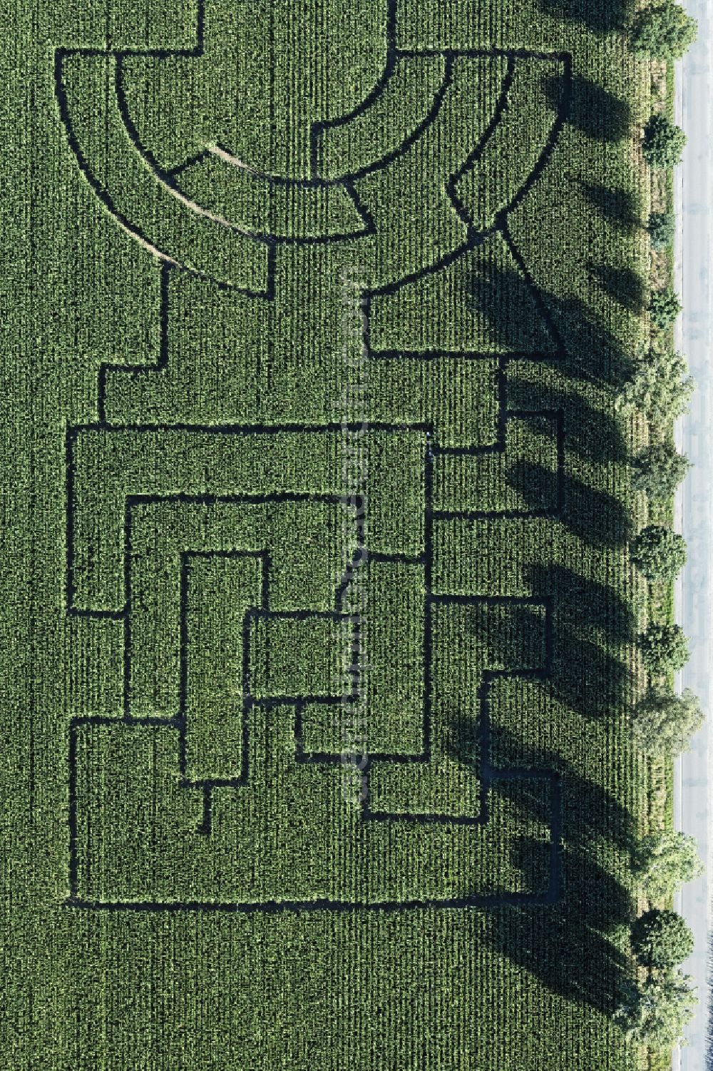 Uchte from the bird's eye view: Maze - Labyrinth with the outline of in a field in Uchte in the state Lower Saxony, Germany