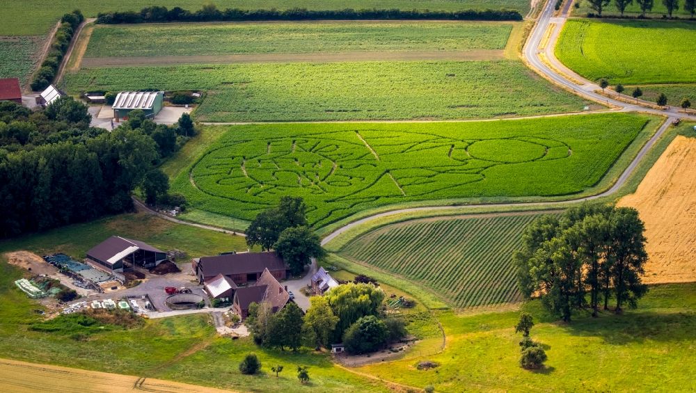 Aerial image Selm - Maze - Labyrinth with the outline of Fridays for future in a field in Selm in the state North Rhine-Westphalia, Germany