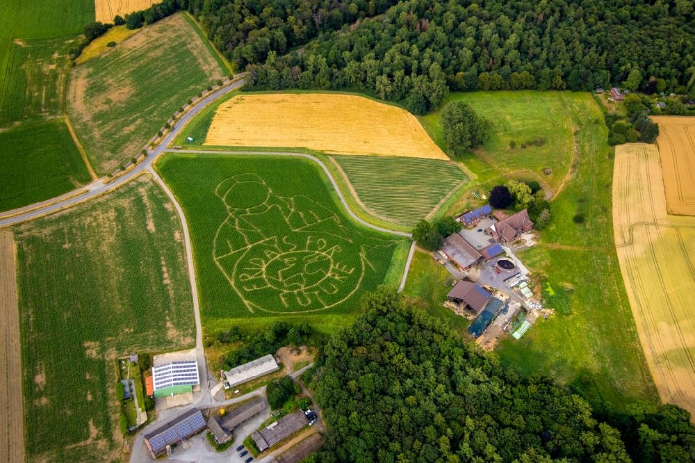 Selm from above - Maze - Labyrinth with the outline of Fridays for future in a field in Selm in the state North Rhine-Westphalia, Germany
