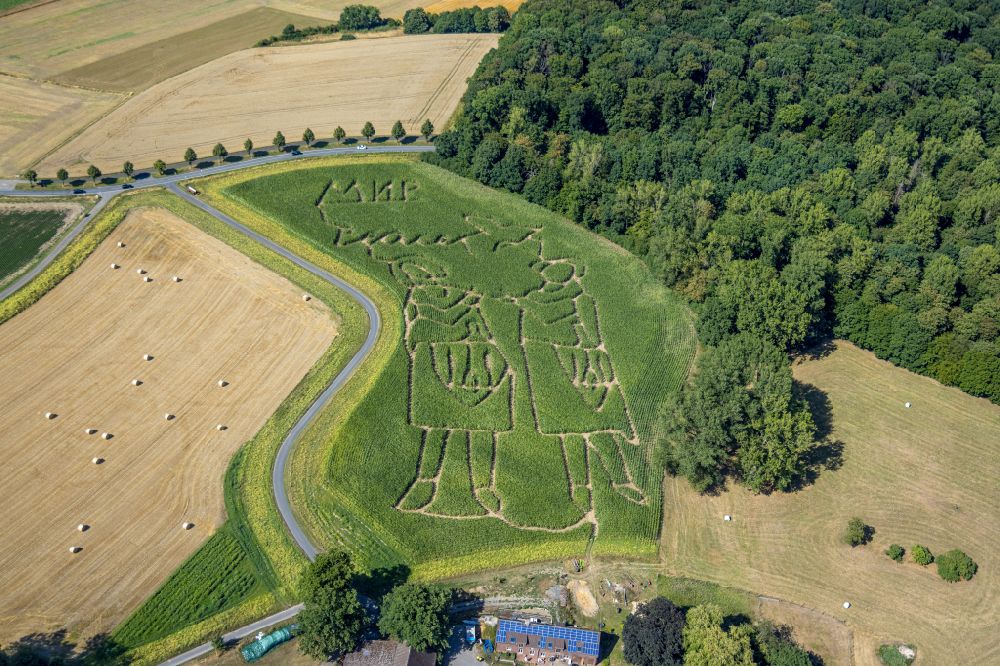Aerial photograph Selm - Maze - Labyrinth with the outline of peace symbols on the occasion of the war in Ukraine in a field in Selm in the state North Rhine-Westphalia, Germany