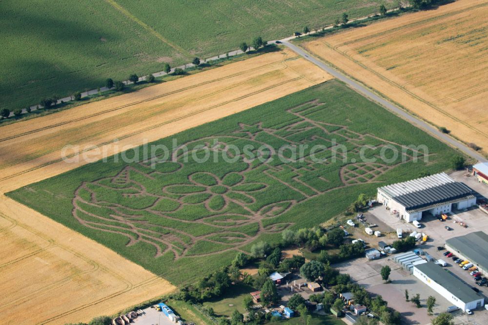 Erfurt from the bird's eye view: Maze - Labyrinth with the outlines of the garden city on a field on Gisbodusstrasse in the district of Gispersleben in Erfurt in the state of Thuringia, Germany