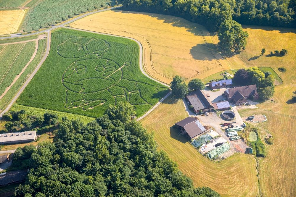 Selm from the bird's eye view: Maze - Labyrinth with the outline of a globe in a field in the district Cappenberg in Selm in the state North Rhine-Westphalia, Germany. Farmer Benedikt Luenemann from Cappenberg took this year's global warming as a theme for his maize labyrinth