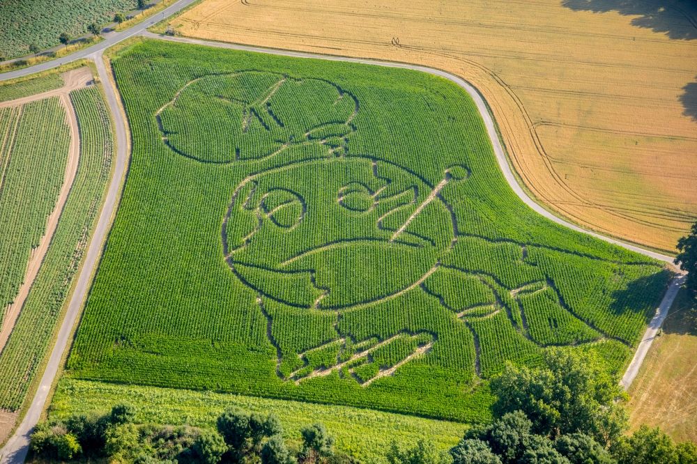 Aerial image Selm - Maze - Labyrinth with the outline of a globe in a field in the district Cappenberg in Selm in the state North Rhine-Westphalia, Germany. Farmer Benedikt Luenemann from Cappenberg took this year's global warming as a theme for his maize labyrinth