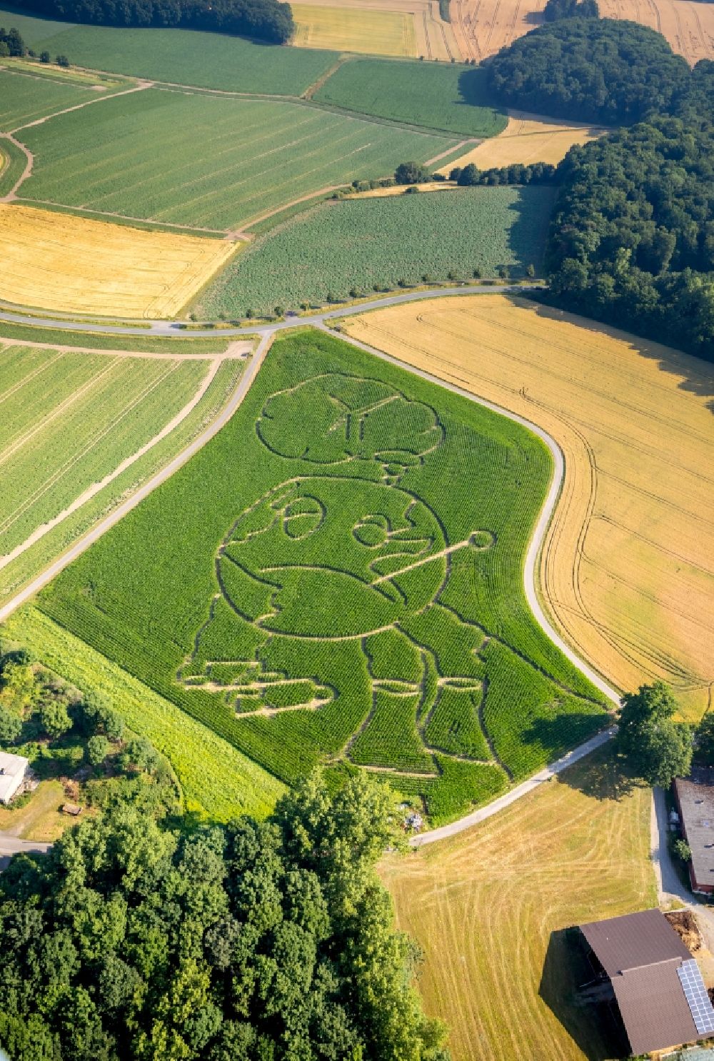 Aerial photograph Selm - Maze - Labyrinth with the outline of a globe in a field in the district Cappenberg in Selm in the state North Rhine-Westphalia, Germany. Farmer Benedikt Luenemann from Cappenberg took this year's global warming as a theme for his maize labyrinth