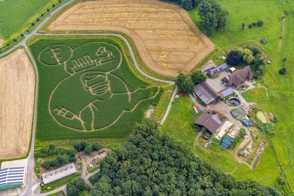Aerial photograph Selm - Maze - Labyrinth with the outline of Get vaccinated in a field in Selm in the state North Rhine-Westphalia, Germany
