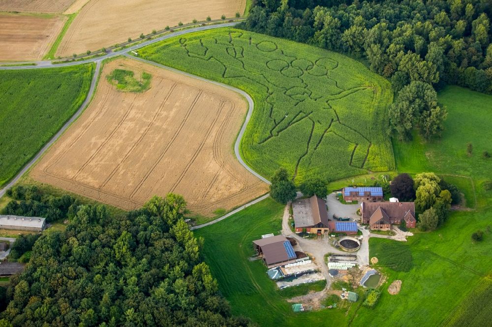 Selm from the bird's eye view: Maze - Labyrinth with the outlines of the Olympic rings and sporty designs on cornfields his Norbert Luenemann horse breeding in Selm in North Rhine-Westphalia