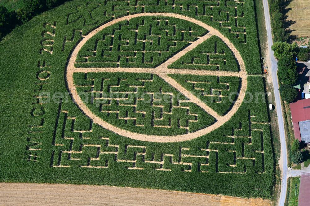 Flehingen from above - Maze - labyrinth with the outline of the peace sign on a field of Milchhof Laemmle-Hofmann GbR in Flehingen in the state Baden-Wuerttemberg, Germany