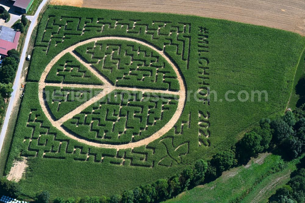 Aerial image Flehingen - Maze - labyrinth with the outline of the peace sign on a field of Milchhof Laemmle-Hofmann GbR in Flehingen in the state Baden-Wuerttemberg, Germany