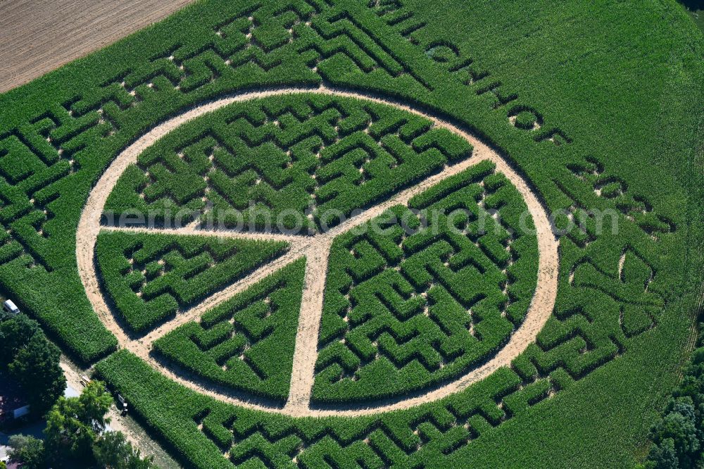 Aerial photograph Flehingen - Maze - labyrinth with the outline of the peace sign on a field of Milchhof Laemmle-Hofmann GbR in Flehingen in the state Baden-Wuerttemberg, Germany