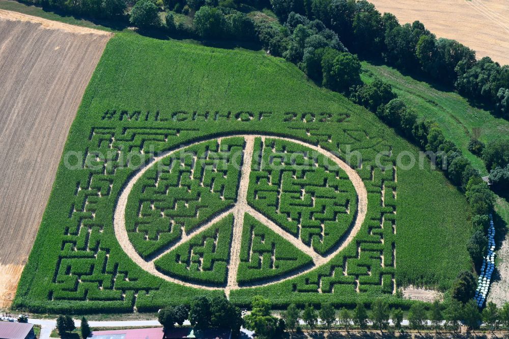 Flehingen from the bird's eye view: Maze - labyrinth with the outline of the peace sign on a field of Milchhof Laemmle-Hofmann GbR in Flehingen in the state Baden-Wuerttemberg, Germany