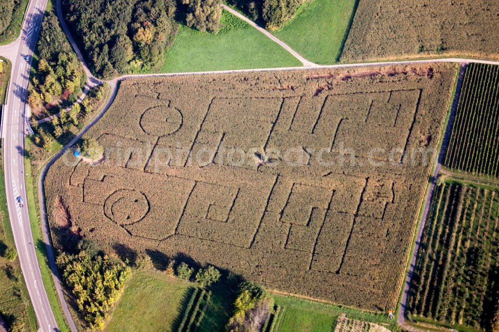 Aerial photograph Klingenmünster - Maze - Labyrinth with the outline of von Smileys in a field in Klingenmuenster in the state Rhineland-Palatinate, Germany