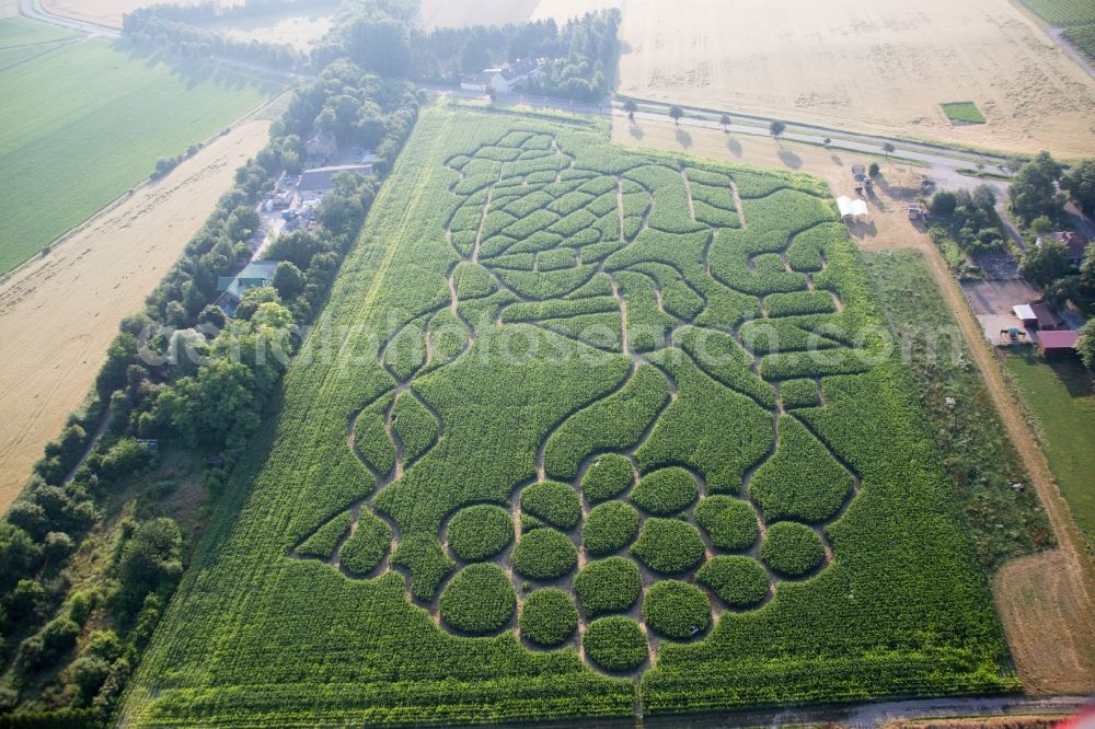Aerial image Dalheim - Maze - Labyrinth with the outline of of a Grape in a field in the district Wahlheimer Hof in Dalheim in the state Rhineland-Palatinate