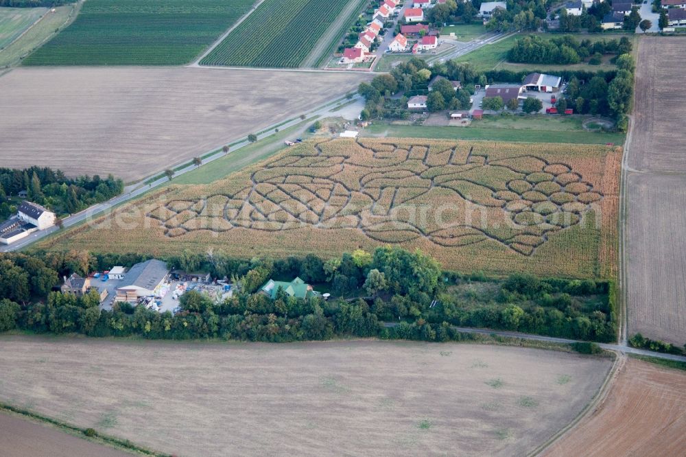 Aerial photograph Dalheim - Maze - Labyrinth with the outline of of a Grape in a field in the district Wahlheimer Hof in Dalheim in the state Rhineland-Palatinate