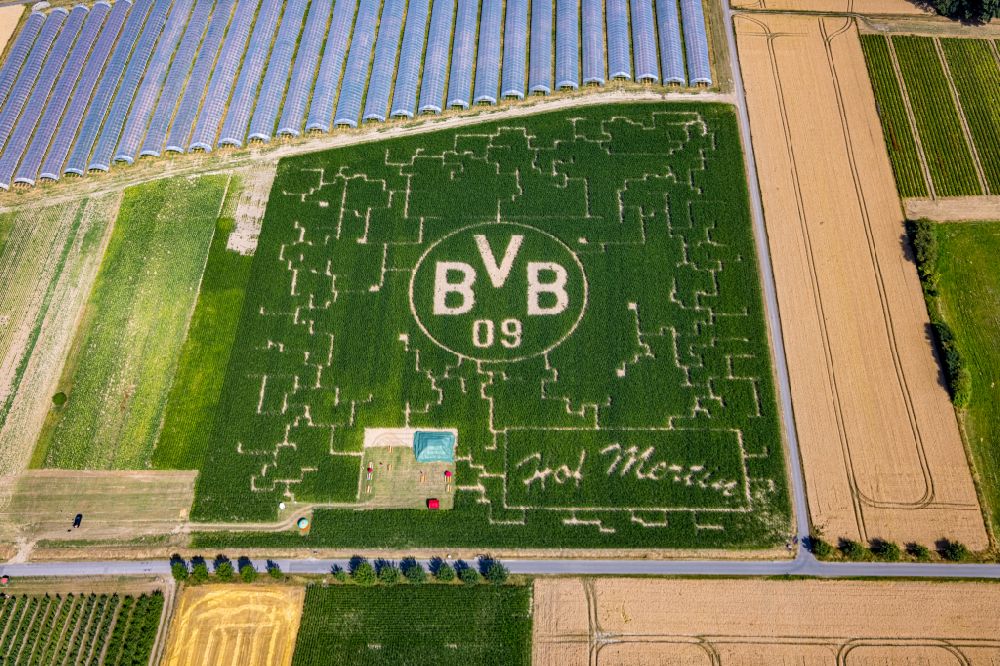 Aerial image Scharnhorst - Maze - Labyrinth on with advertising for the BVB football club in Scharnhorst in the state North Rhine-Westphalia, Germany