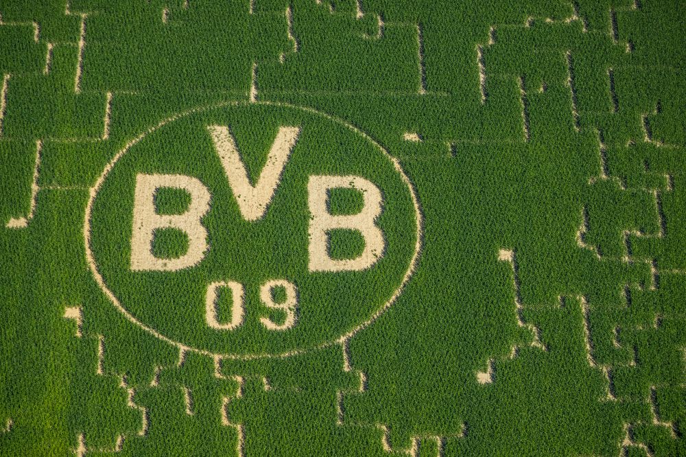 Scharnhorst from the bird's eye view: Maze - Labyrinth on with advertising for the BVB football club in Scharnhorst in the state North Rhine-Westphalia, Germany