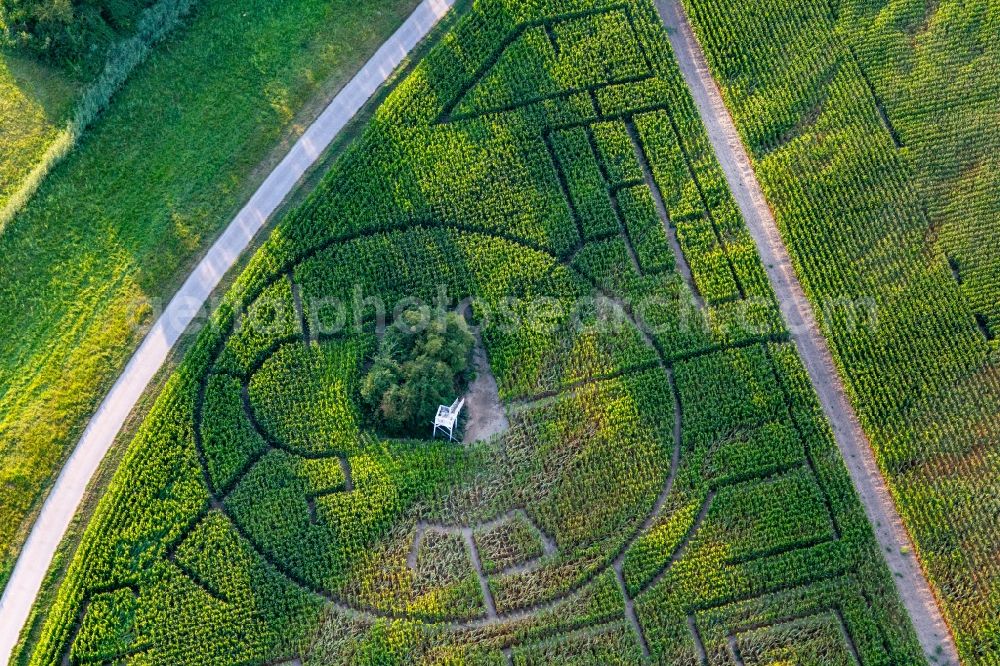 Aerial image Dettenheim - Maze - Corn-Labyrinth Maislabyrinth bei Hofcafee Onkel Oskar of Bolz Landhandel GmbH in a field in Dettenheim in the state Baden-Wuerttemberg, Germany