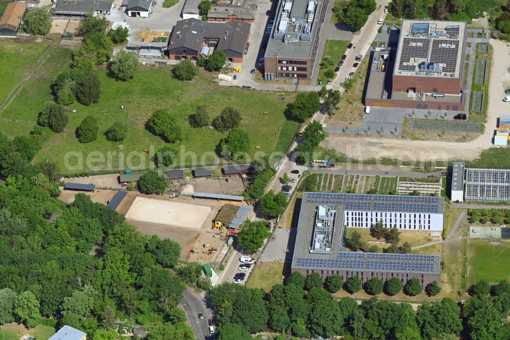 Aerial photograph Berlin - Prison grounds and security fencing of the JVA juvenile detention center JVA of Offenen Vollzuges Berlin - Bereich Dueppel on street Robert-von-Ostertag-Strasse in the district Zehlendorf in Berlin, Germany