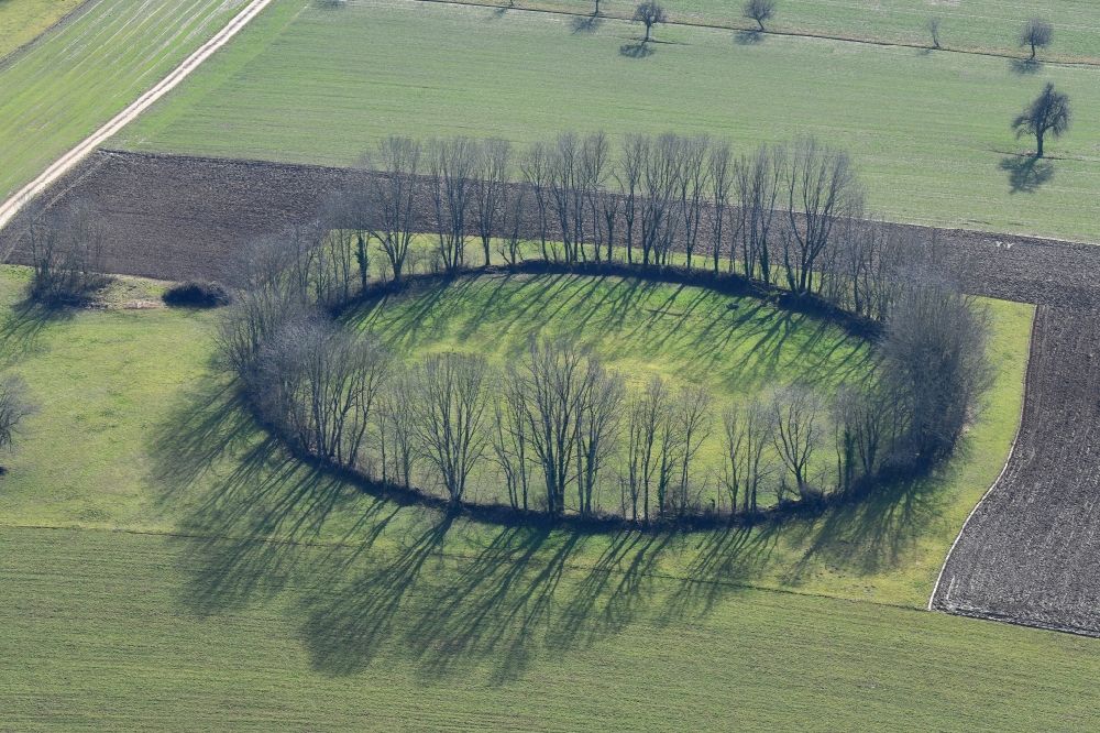 Aerial image Maulburg - Overlooking the tree circle in Maulburg in Baden-Wuerttemberg. Not the Celts, but remnants of the Second World War have created this tree circle in Maulburg. On the mountain ridge of the Dinkelberg between the southern Black Forest and the Swiss border in the last years of the war a radio direction finding station with a large rotating directional antenna was installed. It was used for aircraft positioning. After the war the plant was dismantled, but the circular foundation not completely. Meanwhile bushes and trees have grown as a circular wood from the remains of the foundation