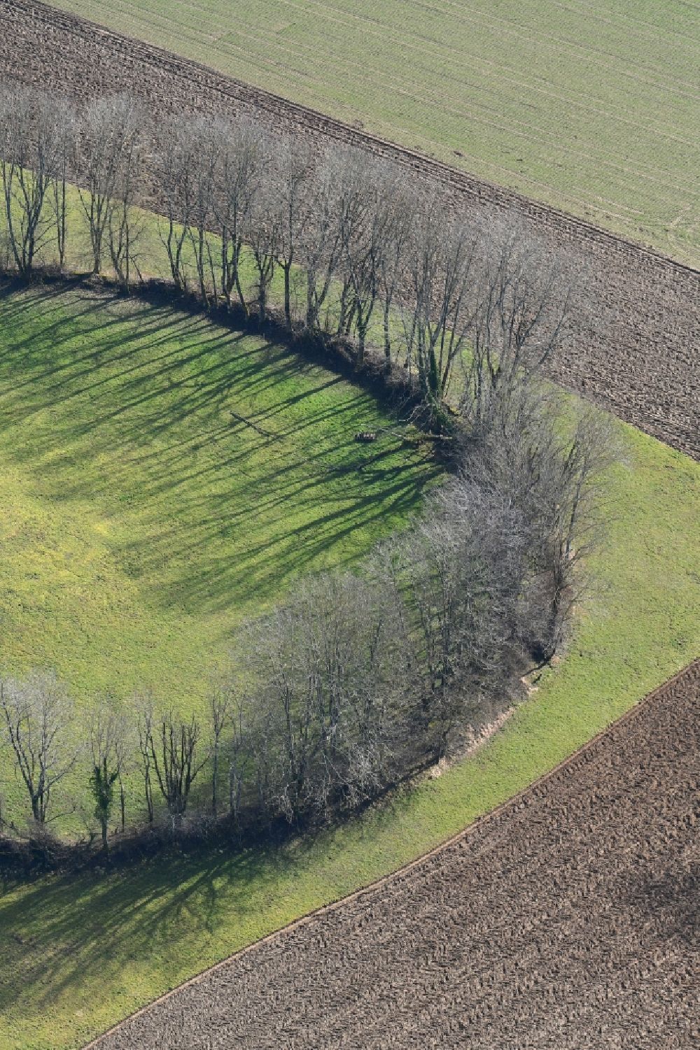 Aerial photograph Maulburg - Overlooking the tree circle in Maulburg in Baden-Wuerttemberg. Not the Celts, but remnants of the Second World War have created this tree circle in Maulburg. On the mountain ridge of the Dinkelberg between the southern Black Forest and the Swiss border in the last years of the war a radio direction finding station with a large rotating directional antenna was installed. It was used for aircraft positioning. After the war the plant was dismantled, but the circular foundation not completely. Meanwhile bushes and trees have grown as a circular wood from the remains of the foundation