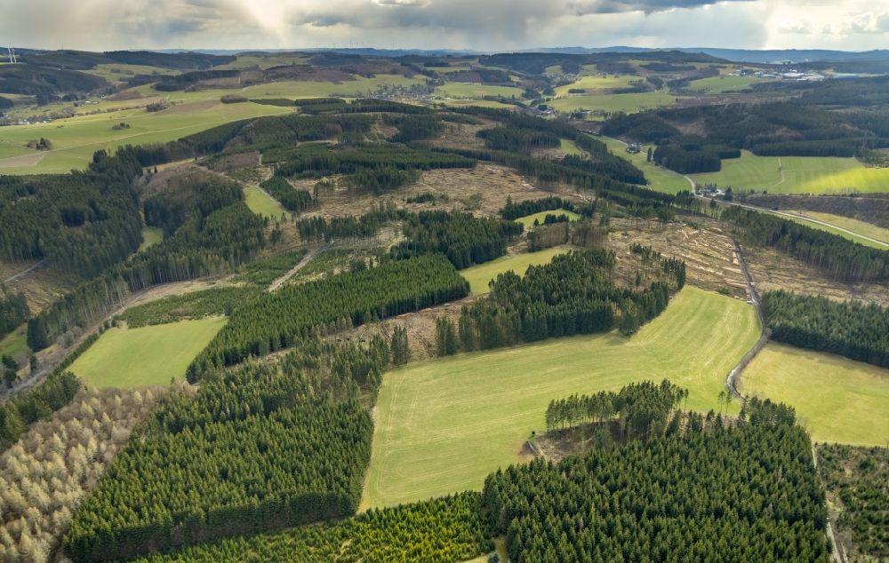 Aerial image Berghausen - Bald area of a cleared forest in Berghausen on Siegerland in the state North Rhine-Westphalia, Germany