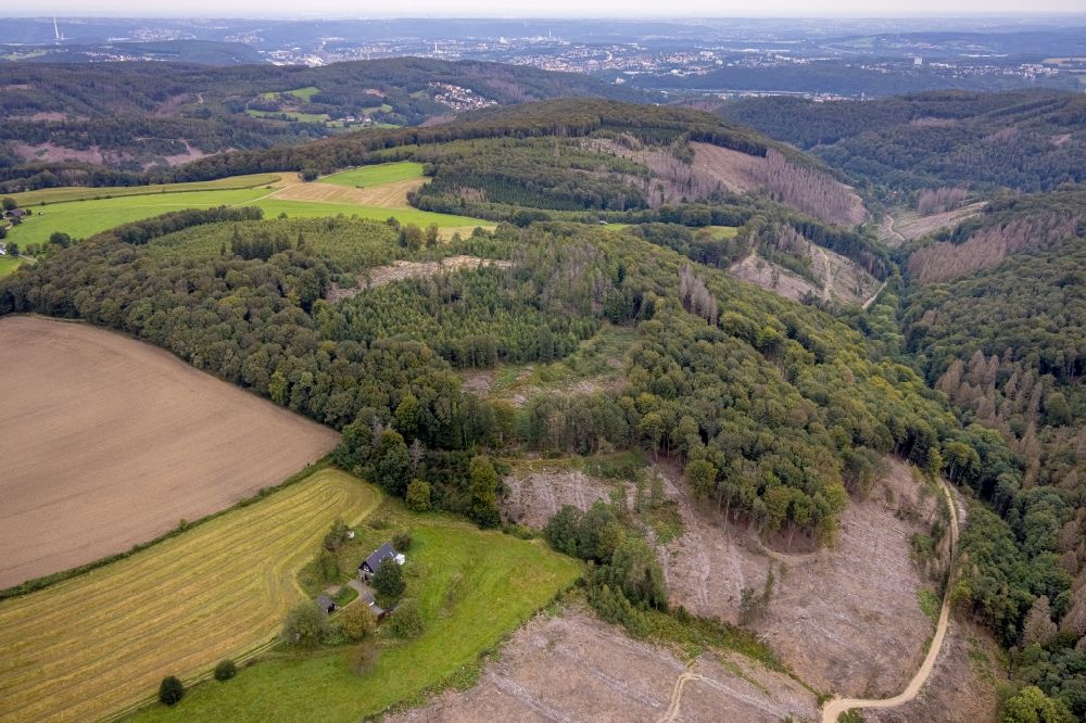 Aerial image Breckerfeld - Bald area of a cleared forest in Breckerfeld in the state North Rhine-Westphalia, Germany