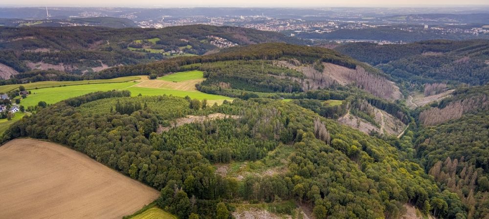 Aerial photograph Breckerfeld - Bald area of a cleared forest in Breckerfeld in the state North Rhine-Westphalia, Germany