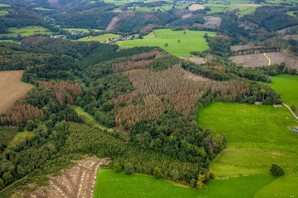 Aerial photograph Breckerfeld - Bald area of a cleared forest in Breckerfeld in the state North Rhine-Westphalia, Germany