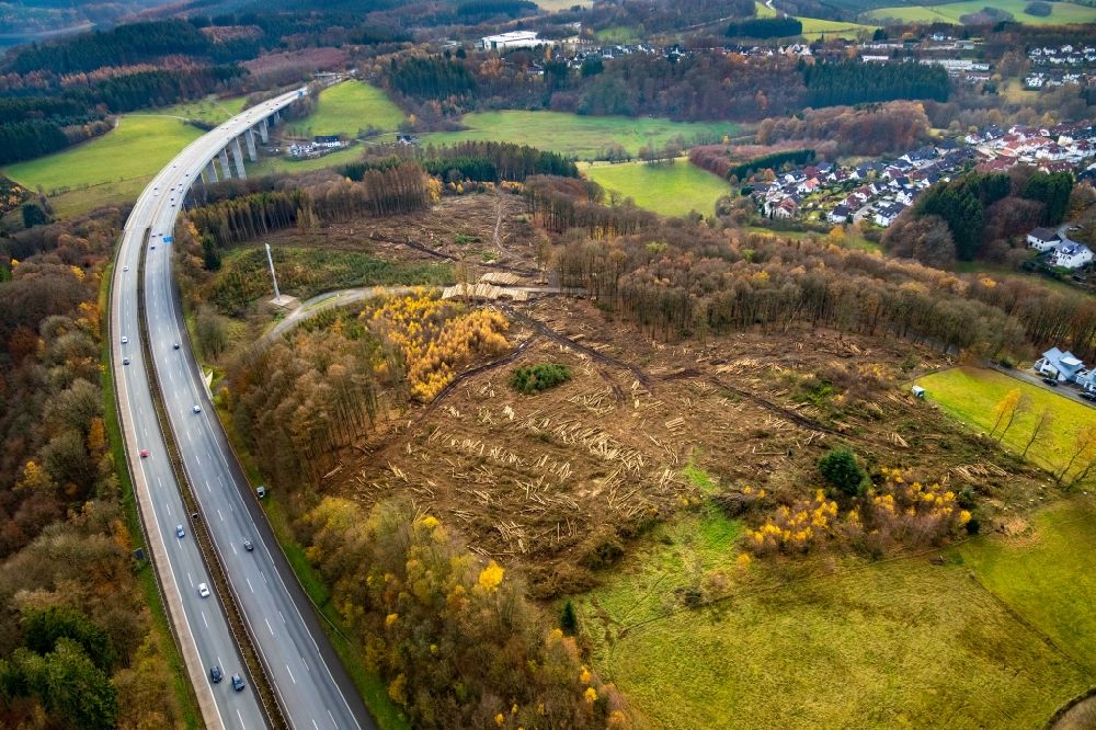 Lüdenscheid from above - Bald area of a cleared forest on Brueninghauser Strasse in the district Hellersen in Luedenscheid in the state North Rhine-Westphalia, Germany