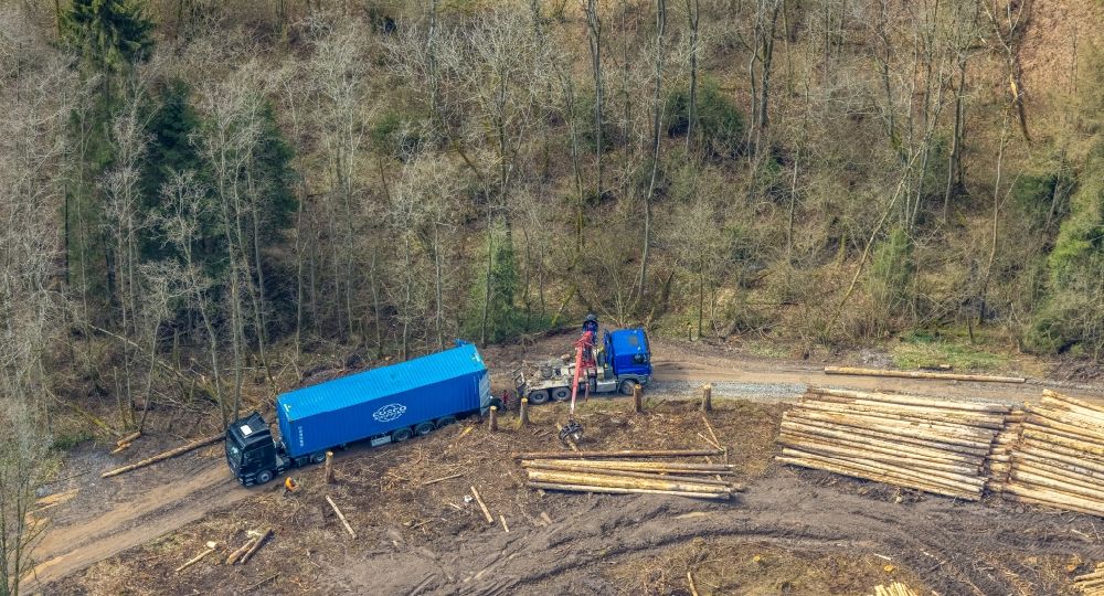 Kirchhundem from above - Bald area of a cleared forest with a truck transport in the Wacholderheide Kihlenberg in Kirchhundem at Sauerland in the state North Rhine-Westphalia, Germany