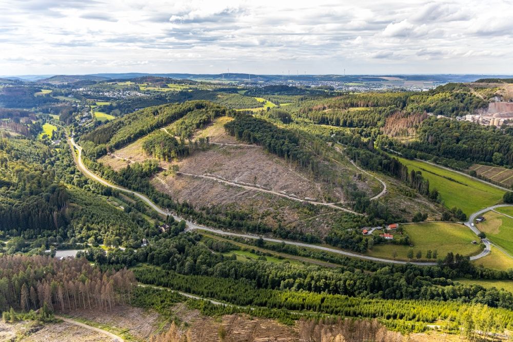 Brilon from the bird's eye view: Bald area of a cleared forest along the Landesstrasse L913 - Walker Wiese in Brilon in the state North Rhine-Westphalia, Germany