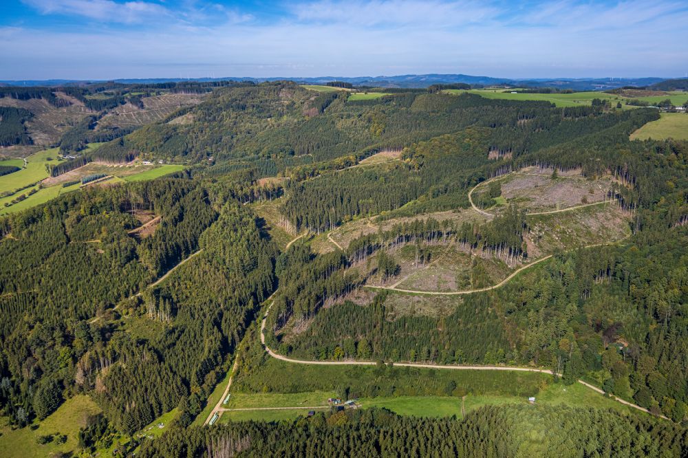 Aerial photograph Finnentrop - Bald area of a cleared forest in Finnentrop at Sauerland in the state North Rhine-Westphalia, Germany
