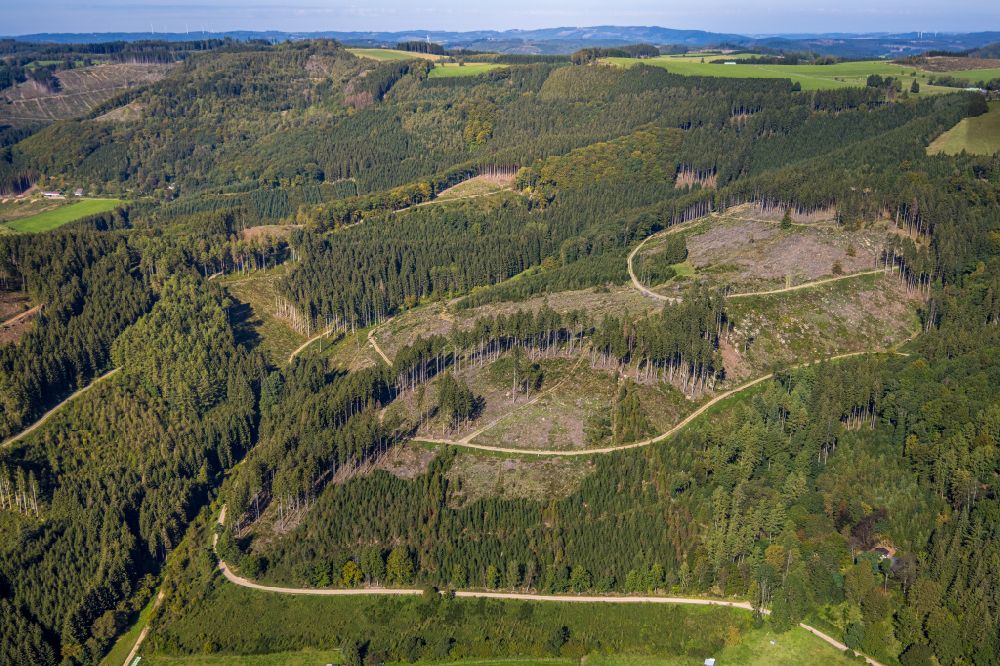 Finnentrop from above - Bald area of a cleared forest in Finnentrop at Sauerland in the state North Rhine-Westphalia, Germany