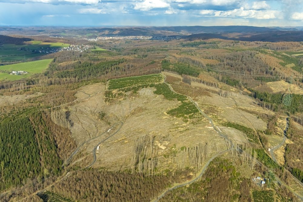 Hachen from above - Bald area of a cleared forest in Hachen at Sauerland in the state North Rhine-Westphalia, Germany