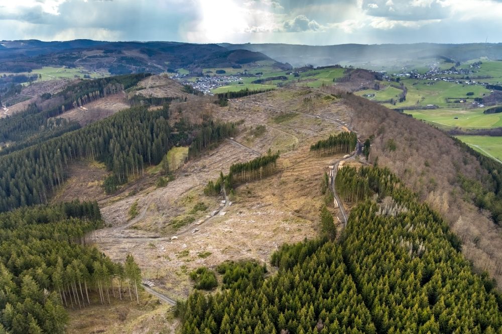Aerial image Holzhausen - Bald area of a cleared forest in Holzhausen on Siegerland in the state North Rhine-Westphalia, Germany