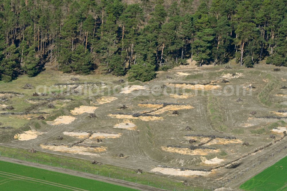 Aerial image Kablow - Bald area of a cleared forest in Kablow in the state Brandenburg, Germany