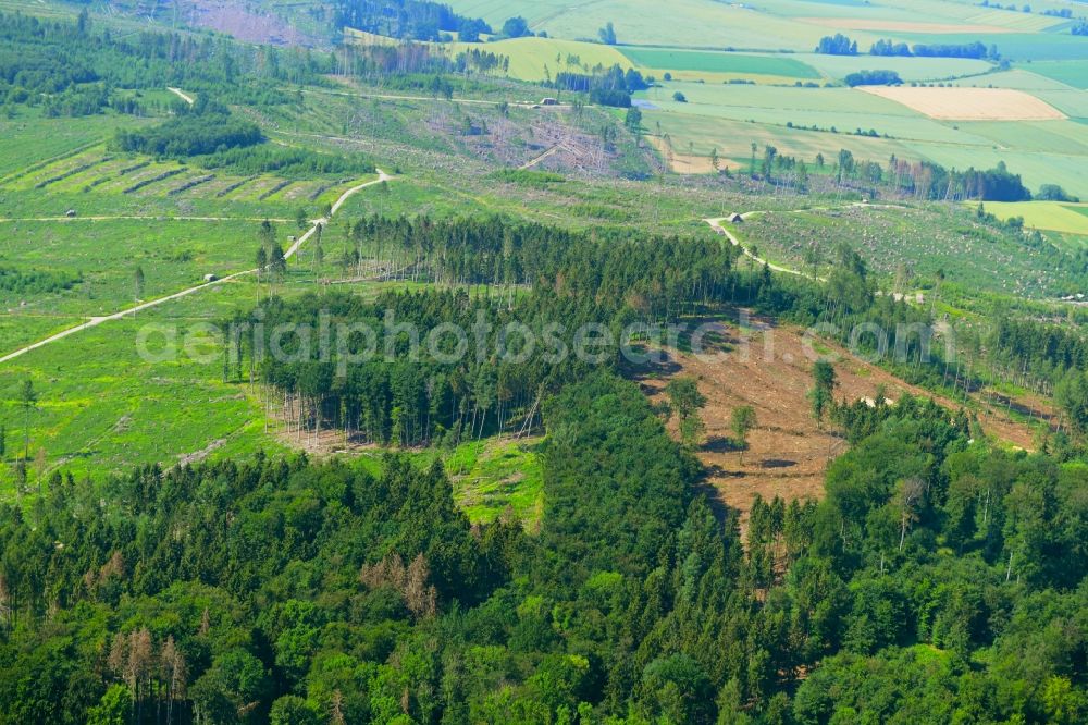 Aerial image Kalefeld - Bald area of a cleared forest in Kalefeld in the state Lower Saxony, Germany