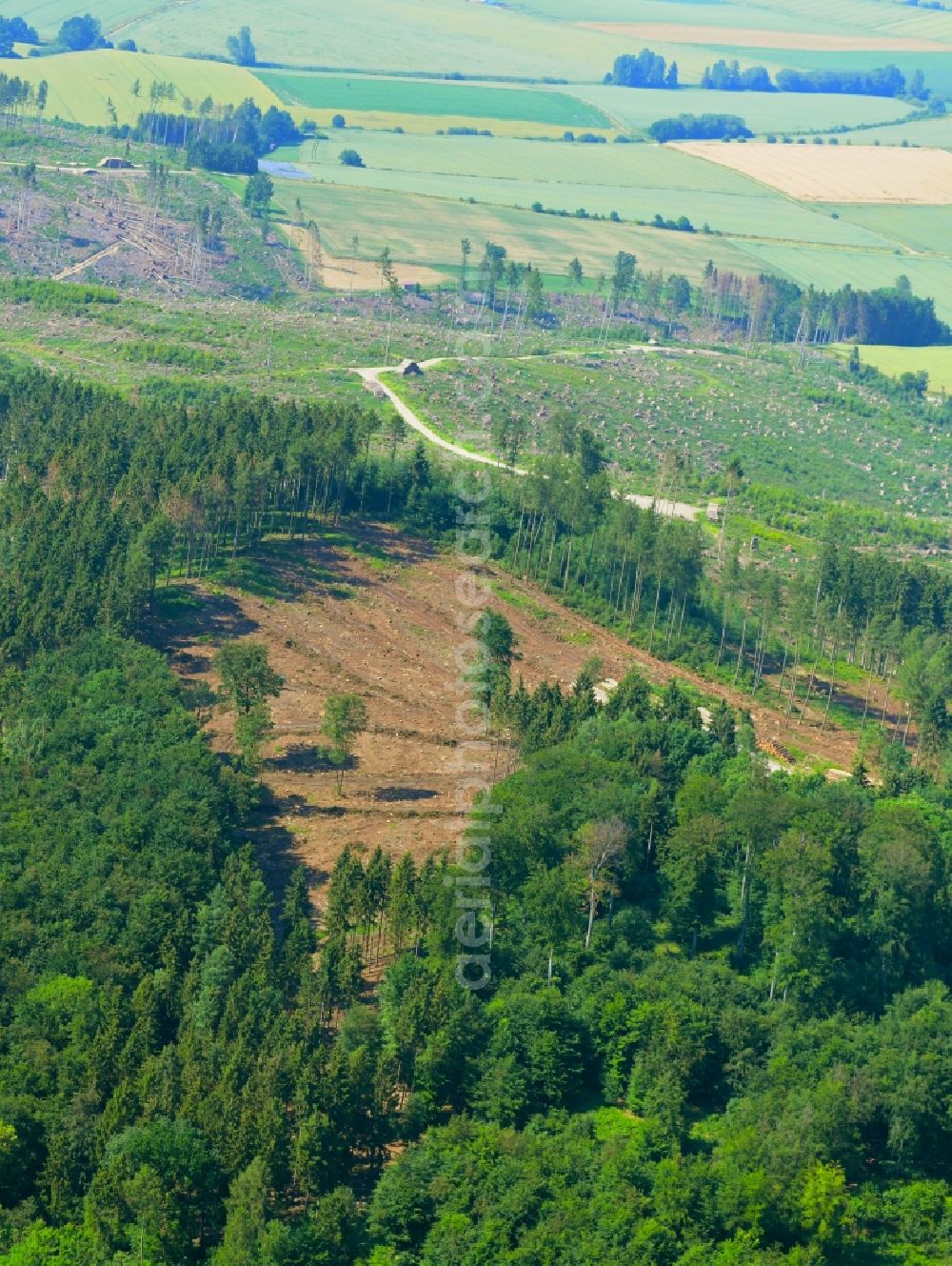 Aerial photograph Kalefeld - Bald area of a cleared forest in Kalefeld in the state Lower Saxony, Germany