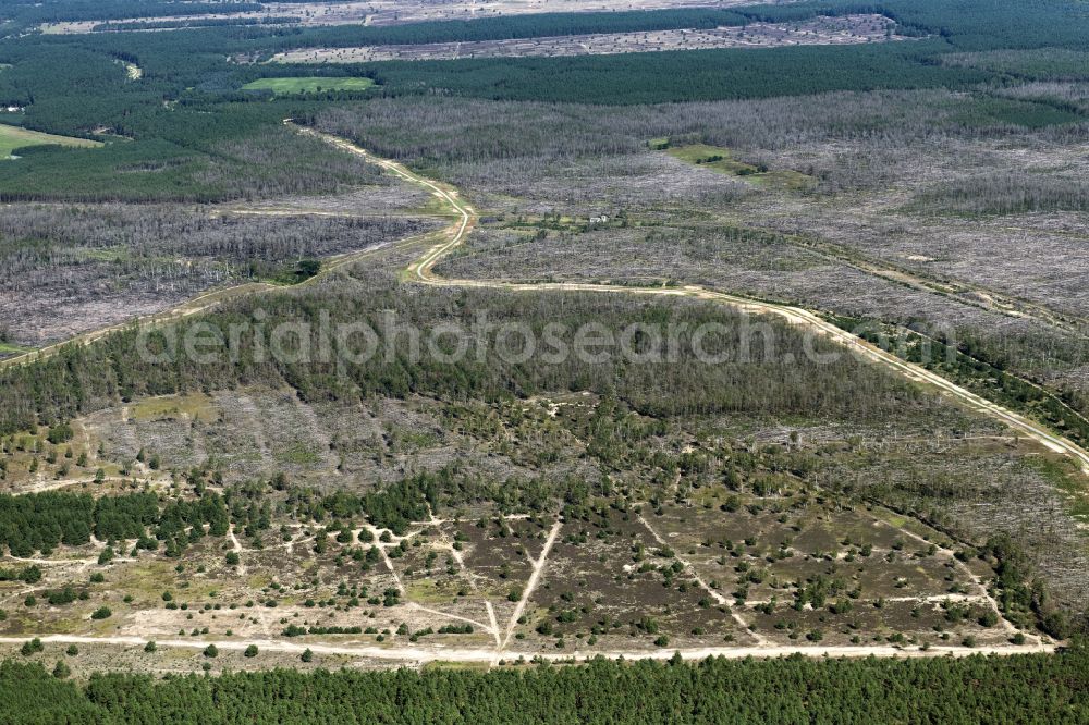 Aerial photograph Lübtheen - Bald area of a cleared forest in Luebtheen in the state Mecklenburg - Western Pomerania, Germany