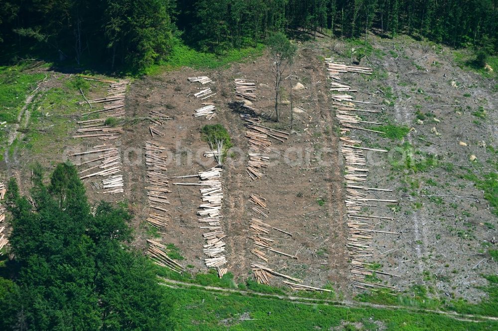Aerial image Lemgo - Bald area of a cleared forest in Lemgo in the state North Rhine-Westphalia, Germany