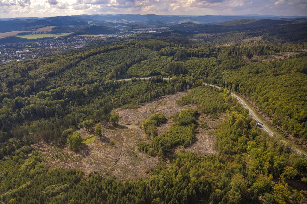 Aerial photograph Meschede - Bald area of a cleared forest in Meschede at Sauerland in the state North Rhine-Westphalia, Germany